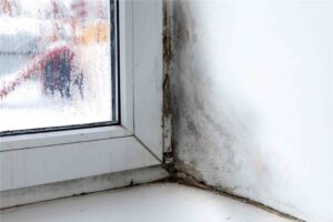 mold in corner of window